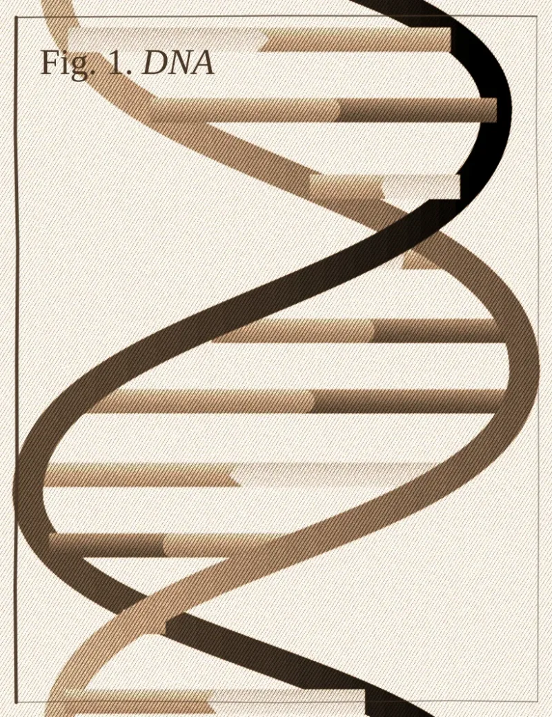 DNA double helix, vintage-treated (sepia, engraving hatch, aged paper)