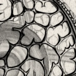 A few meshes of that lattice, magnified 12 times